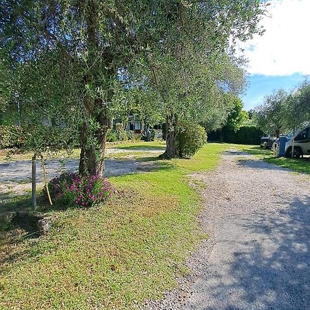 Camping Porto Srl Moniga del Garda المظهر الخارجي الصورة