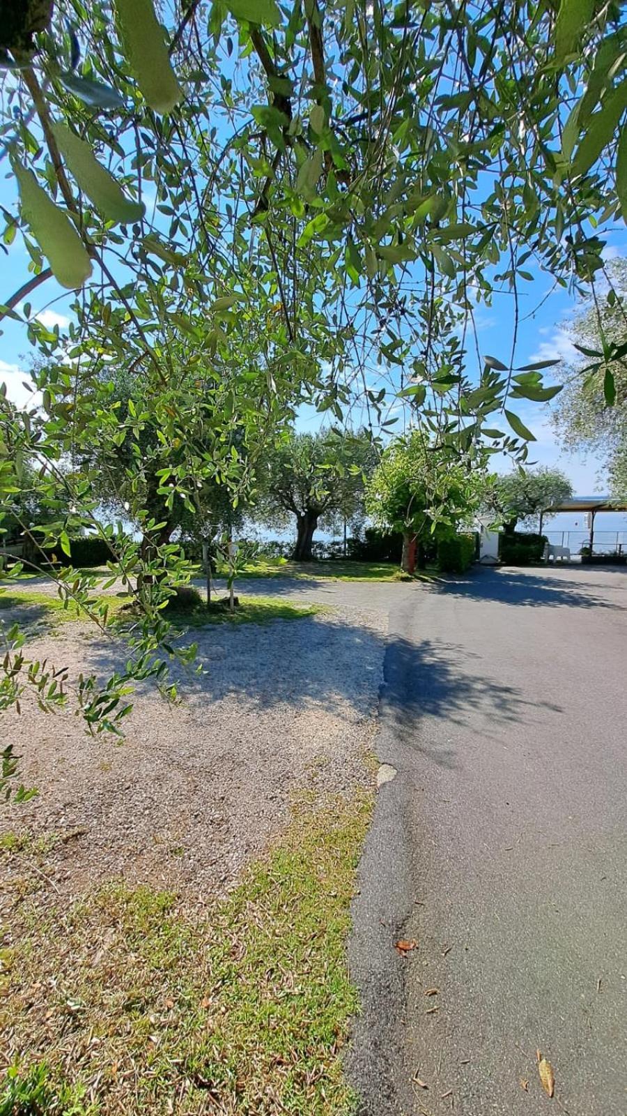 Camping Porto Srl Moniga del Garda المظهر الخارجي الصورة