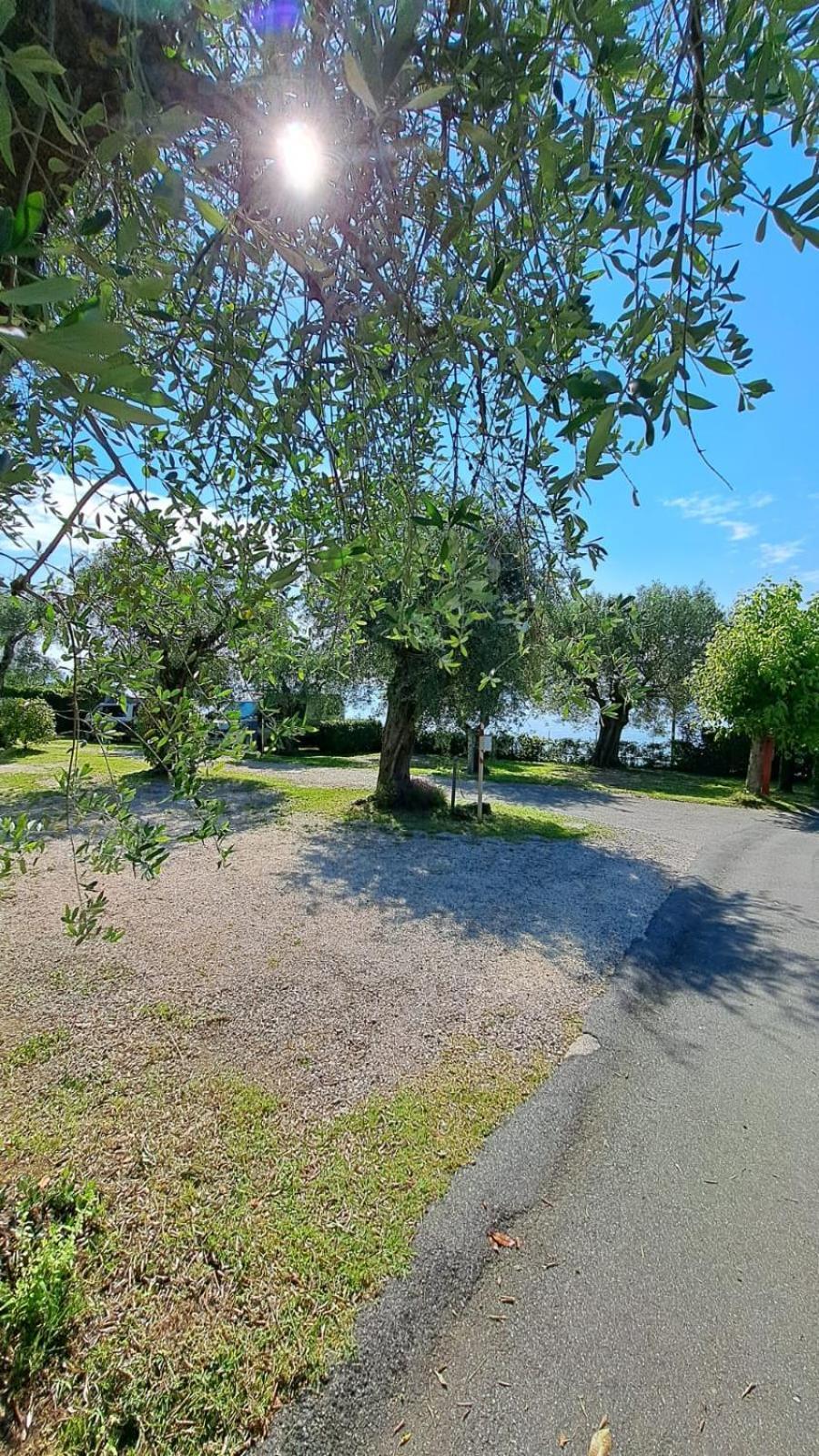 Camping Porto Srl Moniga del Garda المظهر الخارجي الصورة