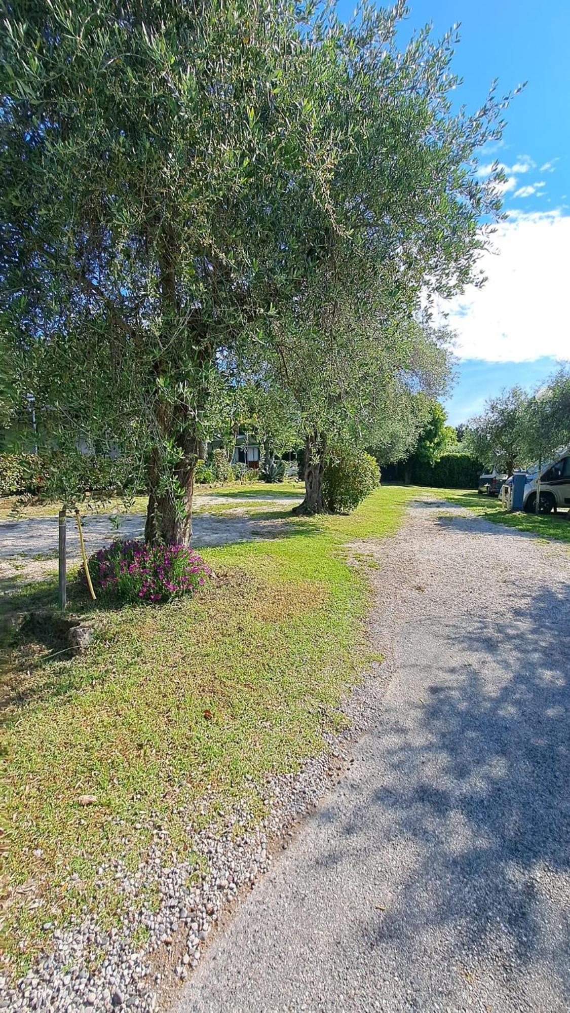 Camping Porto Srl Moniga del Garda المظهر الخارجي الصورة
